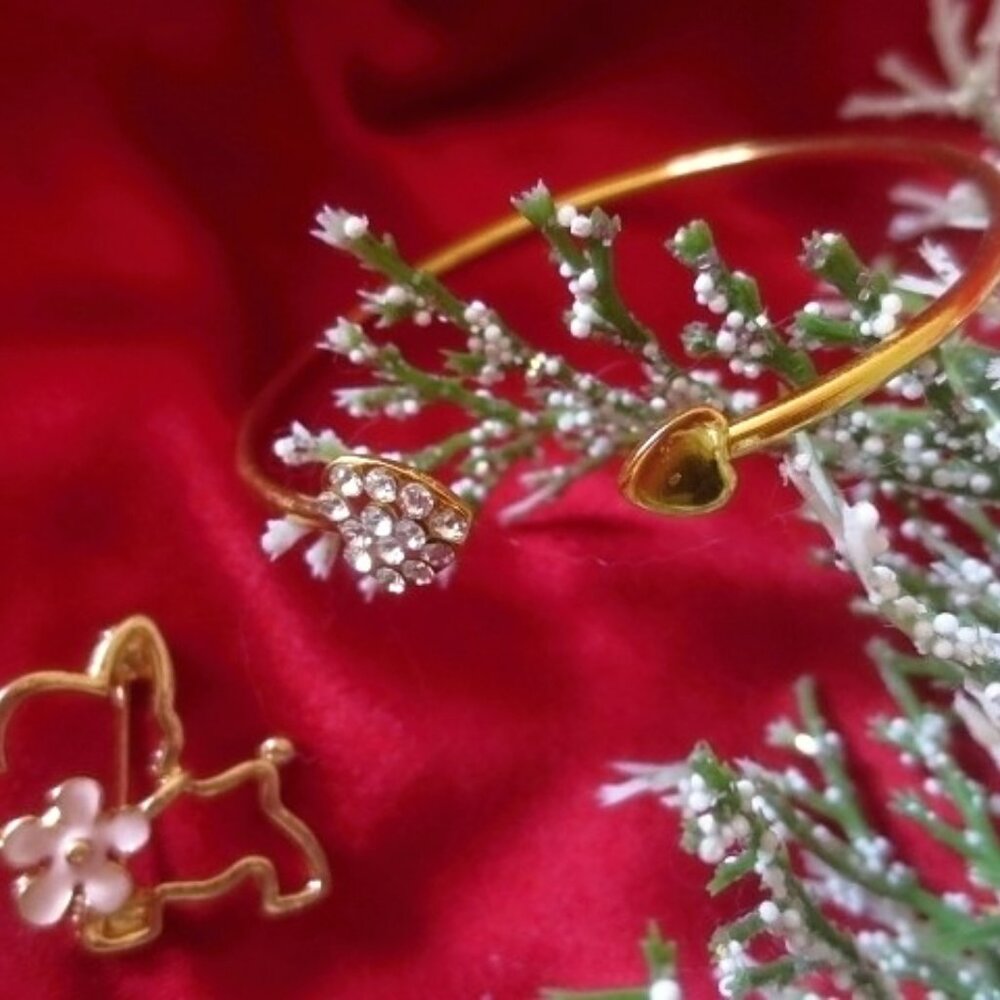 Dog Brooch and a bracelet